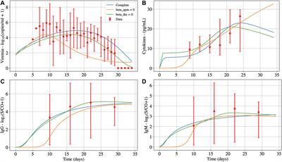 A Validated Mathematical Model of the Cytokine Release Syndrome in Severe COVID-19